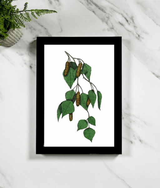 Birch Branch Framed Giclée Art Print