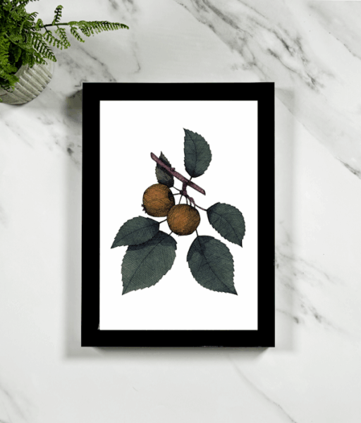 Crab Apple Framed Giclée Art Print
